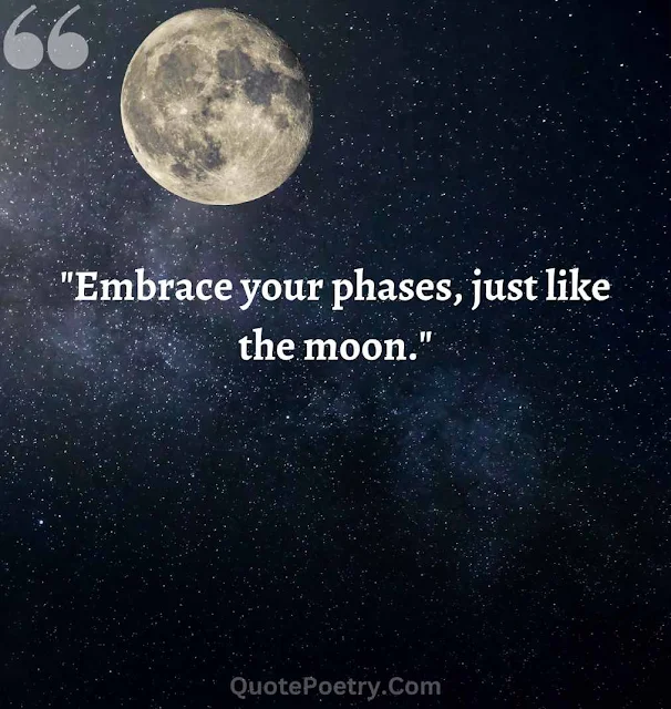 Just Like The Moon Quotes