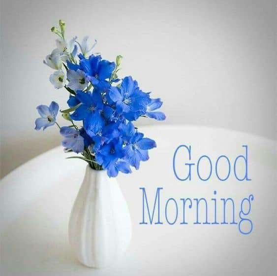 Good Morning Brazil Wishes For Facebook