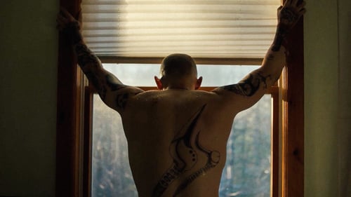 Skin 2019 720p italiano