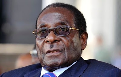 President Mugabe's Bodyguards Manhandle British Journalist For Asking Stupid Questions