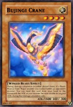 bujingicrane