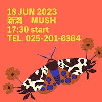 吉村瞳 live at MUSH