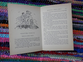 Book reivews by UK blogger secondhandsusie.blogspot.com #bookblogger #bookreview #librarybooks