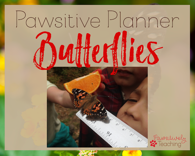 Butterfly Teaching Ideas: A Collection of Teaching Ideas for Butterflies to Use in Your Primary Classroom Includes a FREEBIE