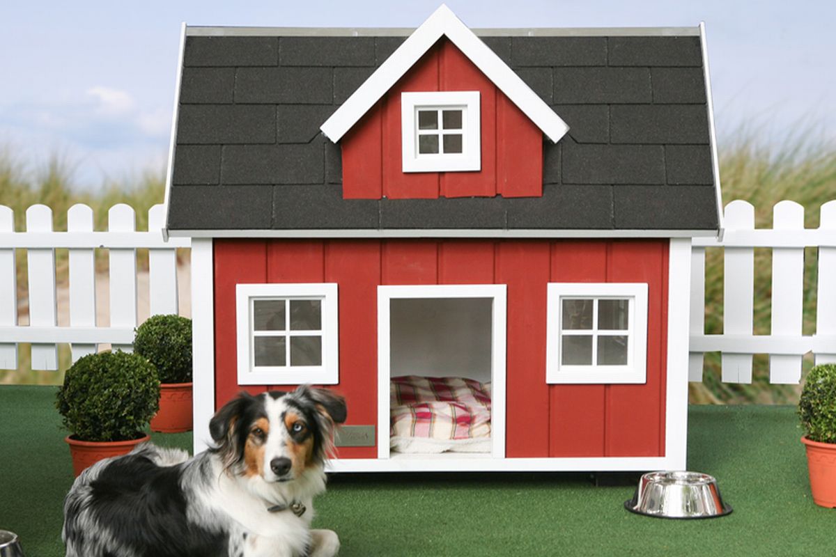 All The Best Home Dog House Designs 2011