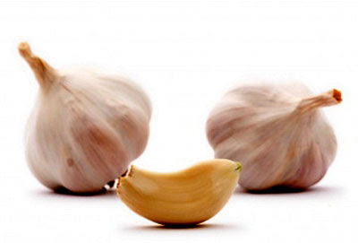 Garlic 