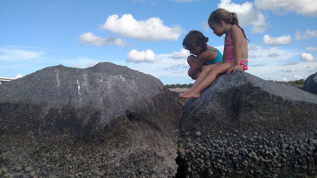 Sebastian Inlet Tide Pools