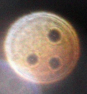 orange orb with three holes