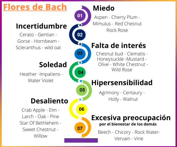 Los 7 grupos de las Flores de Bach