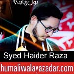 https://humaliwalaazadar.blogspot.com/2019/09/haider-raza-nohay-2020.html