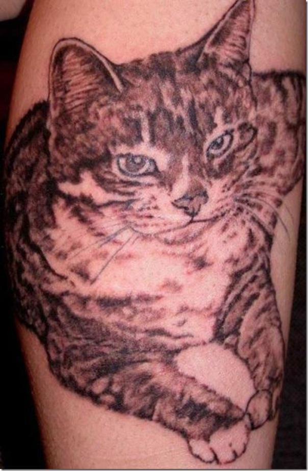 Tatuagem de gatos (3)