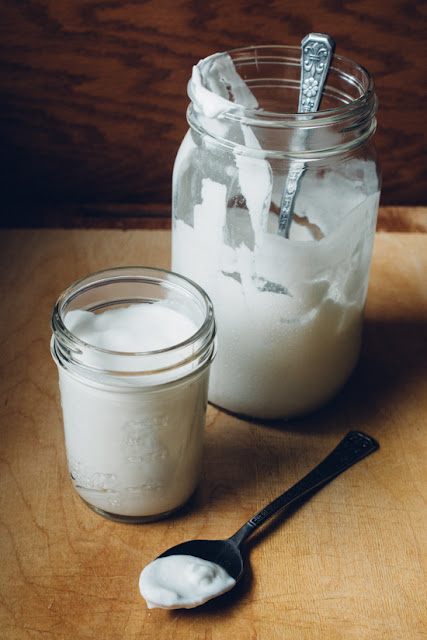 Two-Ingredient Instant Pot Coconut Milk Yogurt (AIP, Paleo, Low FODMAP) 