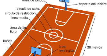 Basket Medidas Del Campo Canasta Y Pelota