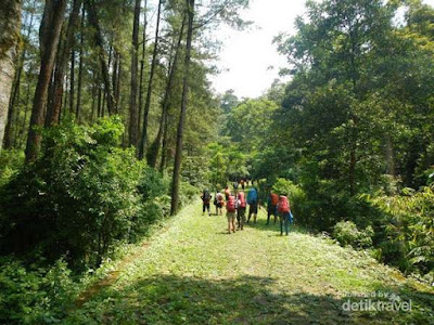 Kisah Mistis Gunung Arjuno  Terseram