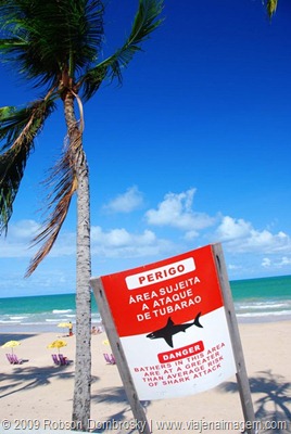 DSC_8316 ataque tubarão praia recife