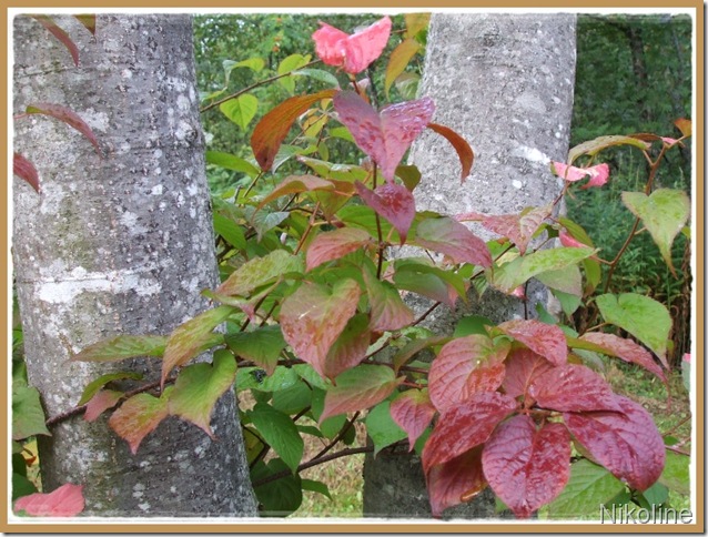 ferien 2009 168-tile