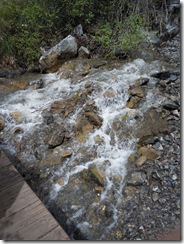 DSCN0719