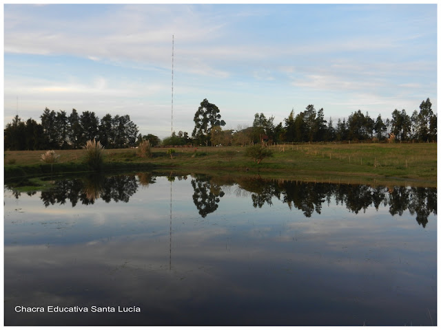 Paisaje- Chacra Educativa Santa Lucía