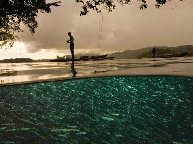 الصيادين وعالم الماء تحتهم (إندونيسيا). الصورة من قبل ديفيد دوبيليت David Doubilet