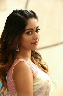 Anu Emmanuel Latest Hot Photos in Saree