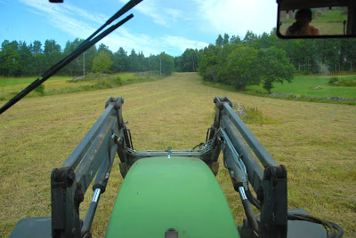 Höbärgnig i Görgens traktor, jag tog en selfie genom backspegeln