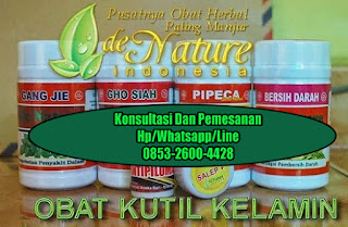 Obat Kutil Kelamin