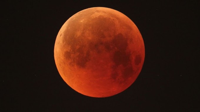 Set your alarm to see the Blood Moon