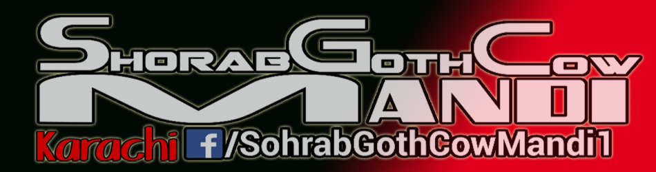 Sohrab Goth Cow Mandi Karachi