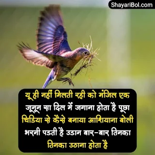 Success Shayari