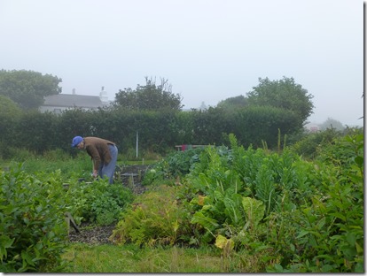 IOM 17 Aug 13 097