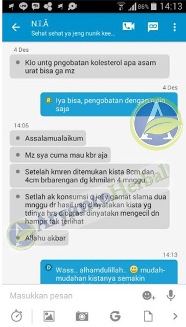 Obat Alami Penghancur Kista Ovarium