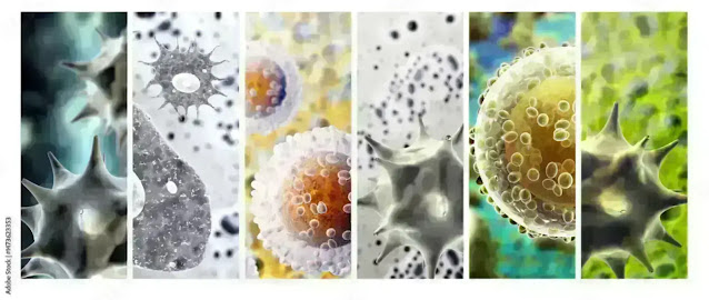 Influenza virus under microscope