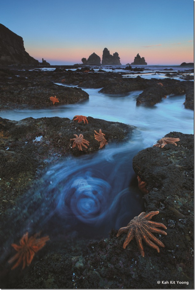 Starfish Swirl