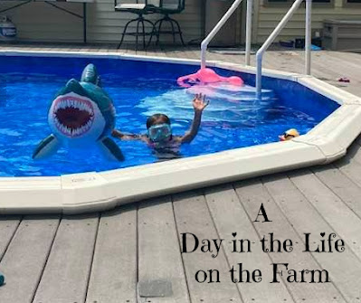 Girl with blow up shark in pool