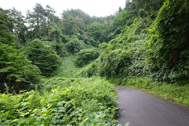 鳥取県西伯郡大山町赤松 赤松池