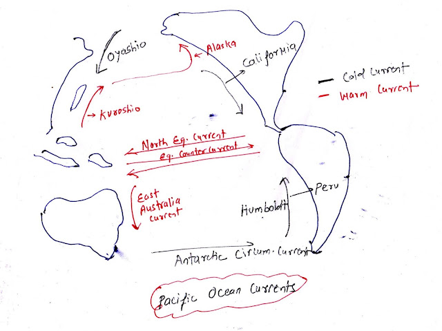 Currents of Pacific ocean