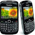 Download Instaldor Rapido Blackberry 8520