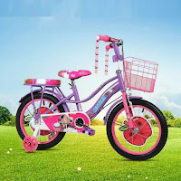 sepeda kota anak centrum apple girl kids city bike