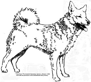  Coloring Sheets on Iceland Dog Coloring Pages Dog Coloring Pages