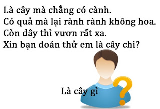 Stt Anh do vui hai nao