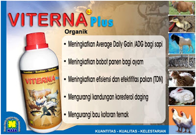 "VITERNA-VITAMIN-TERNAK-ORGANIK-ALAMI-NATURAL-PENGGEMUKAN-SAPI-POTONG-PEDAGING-BEBEK-AYAM-BROILER-PETELUR-IKAN-LELE-PATIN-UDANG-BANDENG-PETERNAKAN-PERIKANAN"