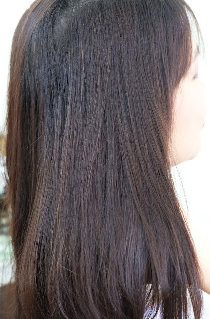 Michiko Hair Color Shampoo Review in Chestnut Brown