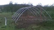 Exemple De Ecosisteme Subterane