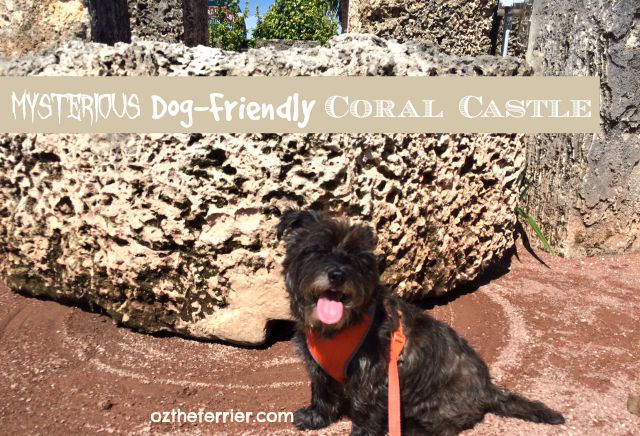 Oz the Terrier visits the mysterious yet dog-friendly Coral Castle in Miami, FL