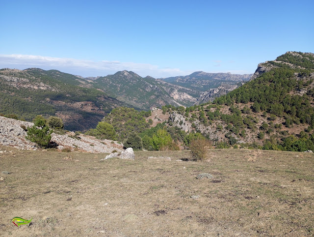 Circular al Navazalto (1.379 m) por los cintos - Collado de Los Blanquizares