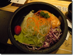 DSCN0671