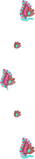 Nuwe geur Dupatta
