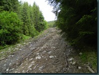 DSCN1608