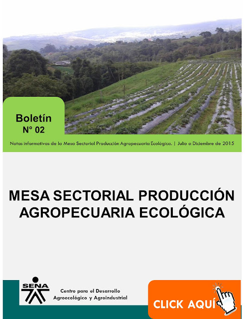  Boletin_Mesa_Sectorial_No2