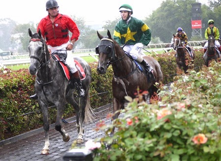 race 7_snitzerland 3